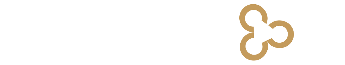 cyberSecure Logo
